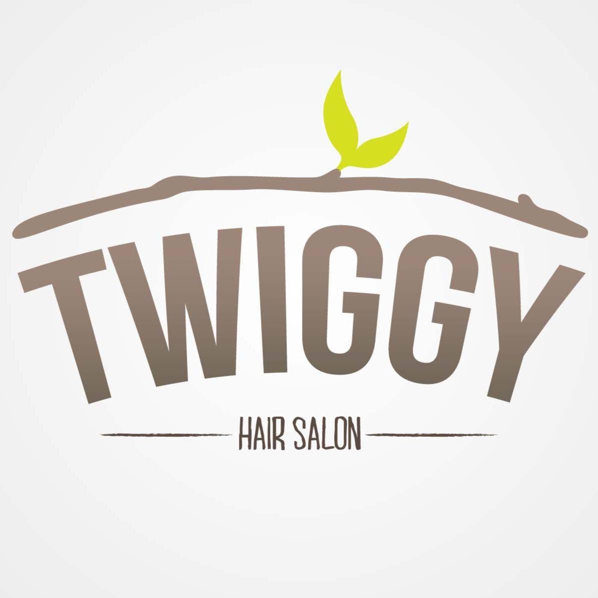 Twiggy Salon logo